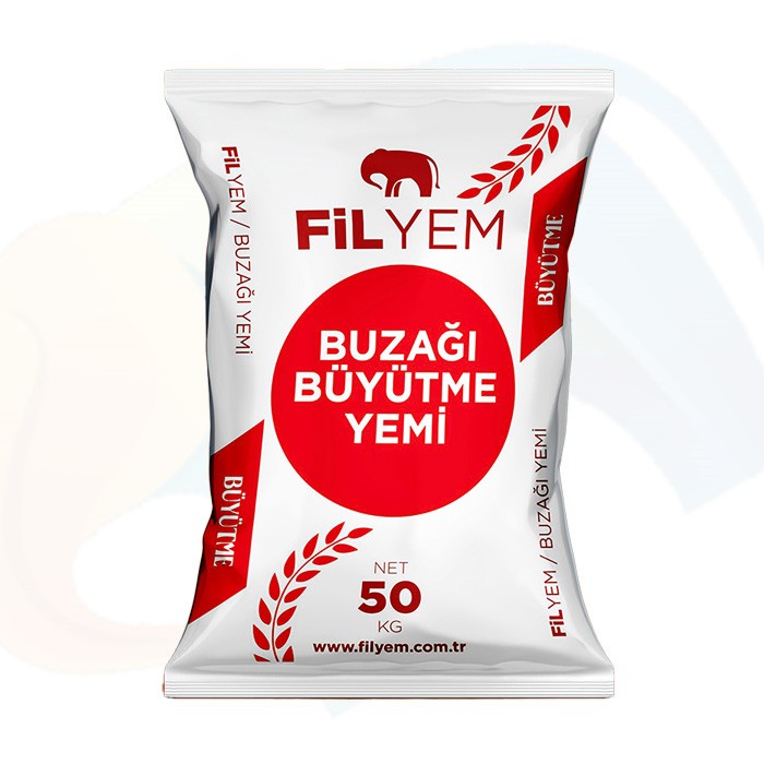 Buzağı Büyütme