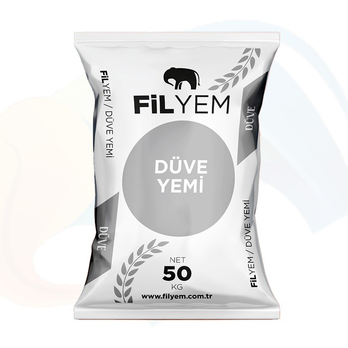 Düve